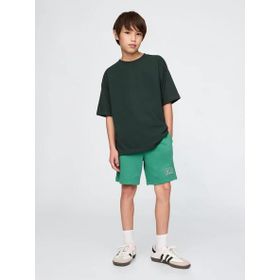 GAP 742934001 V-Frch Ft Logo Erkek Çocuk Şort