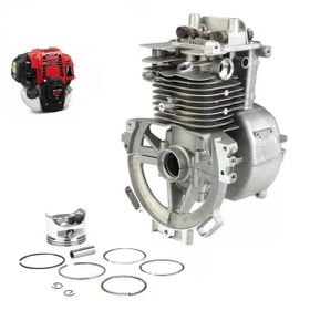Garden Pro Gx50 / Honda Gx50 Motor Silindir Set