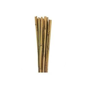 Gardener 150 cm Bambu Bitki Destek Çubuğu