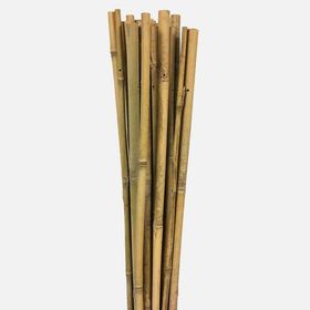 Gardener 150 cm Bambu Bitki Destek Çubuğu