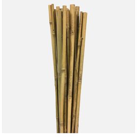 Gardener Bambu 90 cm Bitki Destek Çubuğu