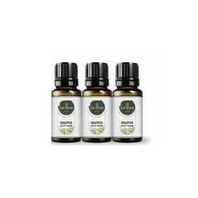 Gardone 10 ml Okaliptüs Uçucu Yağı Buhurdanlık Ortam Kokusu (3 adet)