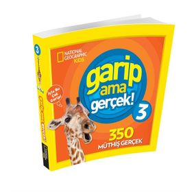 Garip Ama Gerçek 3 - kollektif