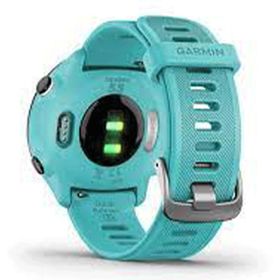 Garmin Forerunner 55 Akıllı Saat
