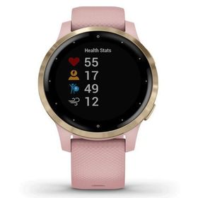 Garmin Vivoactive 4S Akıllı Saat