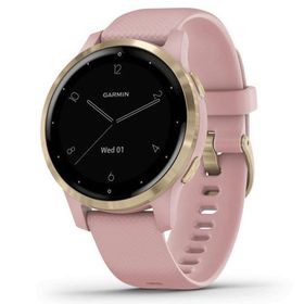 Garmin Vivoactive 4S Akıllı Saat