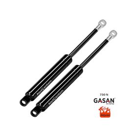 Gasan 750N Baza Pistonu Baza Amortisörü