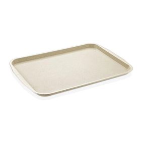 Gastrolley Kırçıllı 37x53 cm ABS Servis Tepsisi