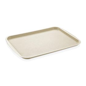 Gastrolley Kırçıllı 37x53 cm ABS Servis Tepsisi