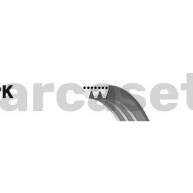 Gates 3PK628SF Kanallı Kayış