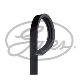 Gates 3PK753 Kanallı Kayış