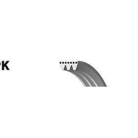 Gates 3PK842SF Kanallı Kayış