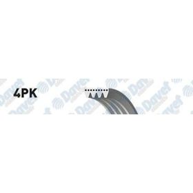 Gates 4PK1003 Kanallı Kayış