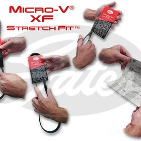 Gates 4PK1022SF Kanallı Kayış