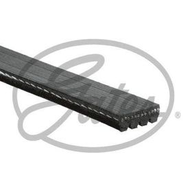 Gates 4PK1028 Kanallı Kayış