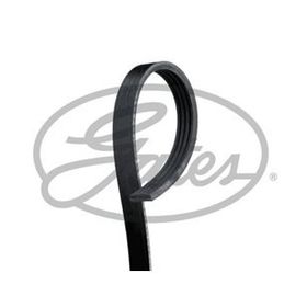 Gates 4PK1155 Kanallı Kayış