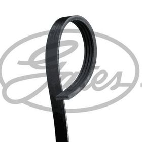 Gates 4PK1313 Kanallı Kayış