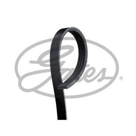 Gates 4PK643SF Kanallı Kayış