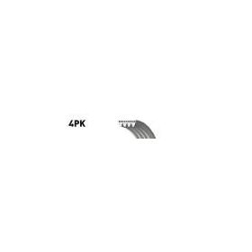 Gates 4PK806SF Kanallı Kayış