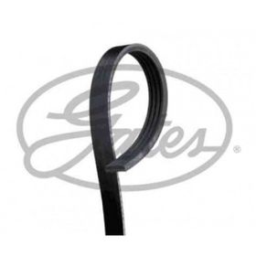 Gates 4PK823 Kanallı Kayış