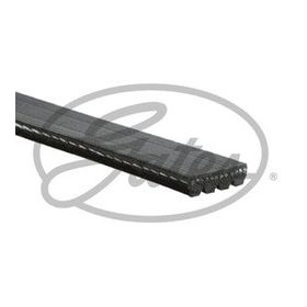 Gates 4PK855 Kanallı Kayış