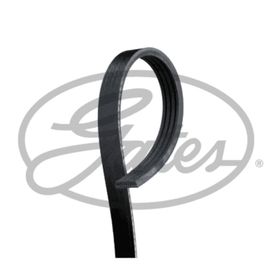 Gates 4PK928 Kanallı Kayış