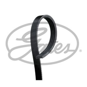 Gates 4PK993 Kanallı Kayış