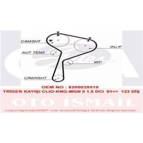 Gates 5578XS Triger Kayışı