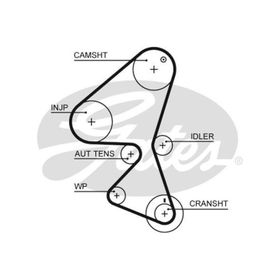 Gates 5589XS CT1104 C3 1.4 HDI 02 02 Suzuki Liana 1.4 DDSI 04 Eksantrik Kayışı