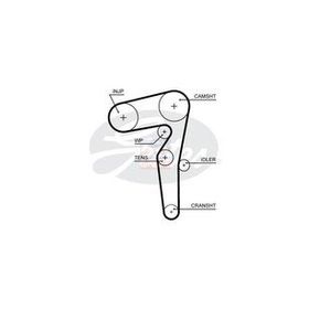 Gates 5646XS CT1155 Brava Linea 1.6D Multijet 08 Alfa Mito Eksantrik Kayışı