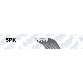 Gates 5PK1013 Kanallı Kayış