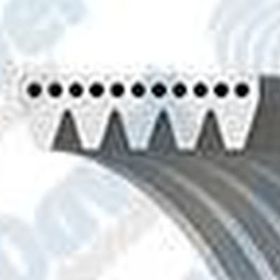 Gates 5PK1013 Kanallı Kayış