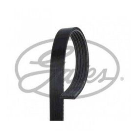 Gates 5PK1030 Kanallı Kayış