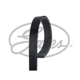 Gates 5PK1030 Kanallı Kayış