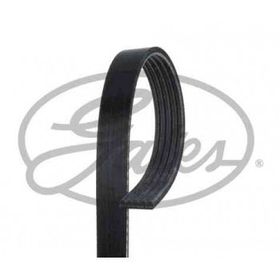 Gates 5PK1113 Kanallı Kayış