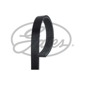 Gates 5PK1140 Kanallı Kayış