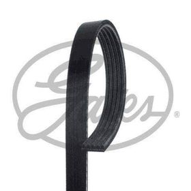 Gates 5PK1148 Kanallı Kayış