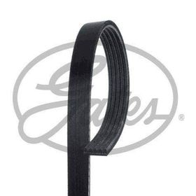 Gates 5PK1148 Kanallı Kayış