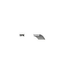 Gates 5PK1236SF Kanallı Kayış