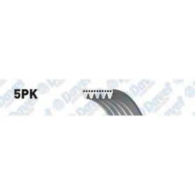 Gates 5PK1236SF Kanallı Kayış