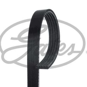 Gates 5PK1240XS Kanallı Kayış