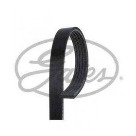 Gates 5PK1510 Micro-V Horizon Kayış