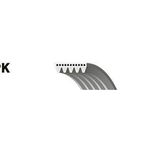 Gates 5PK1650 Kanallı Kayış