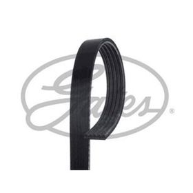 Gates 5PK1770 Kanallı Kayış