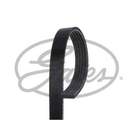 Gates 5PK1810 Kanallı Kayış