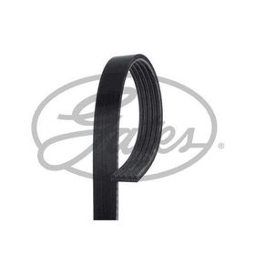 Gates 5PK700 Kanallı Kayış