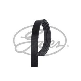 Gates 5PK810 Kanallı Kayış