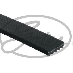 Gates 5PK848 Kanallı Kayış