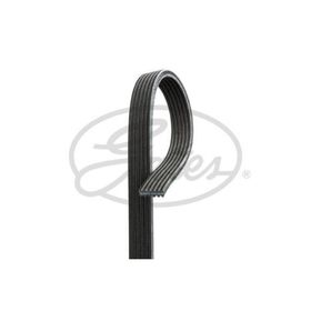 Gates 6DPK1215 Kanallı Kayış