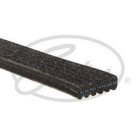 Gates 6DPK1215 Kanallı Kayış